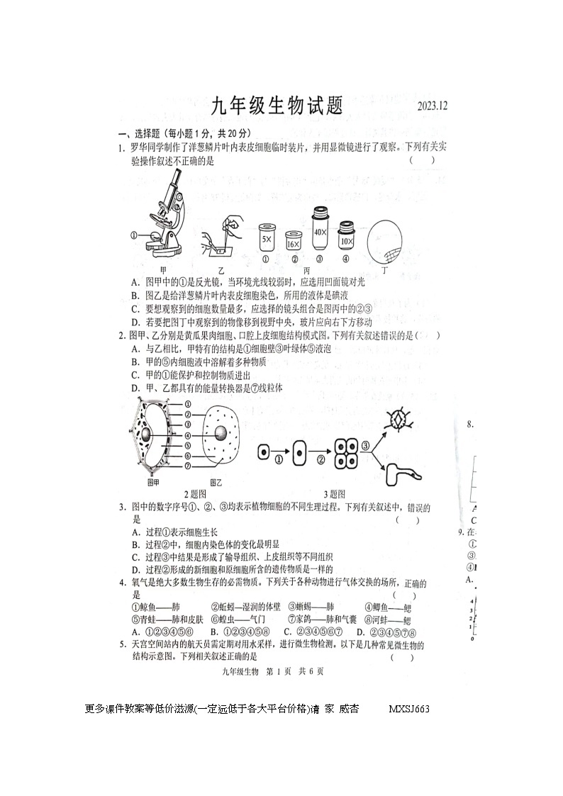 山东省菏泽市鲁西新区2023-2024学年九年级上学期12月月考生物试题01