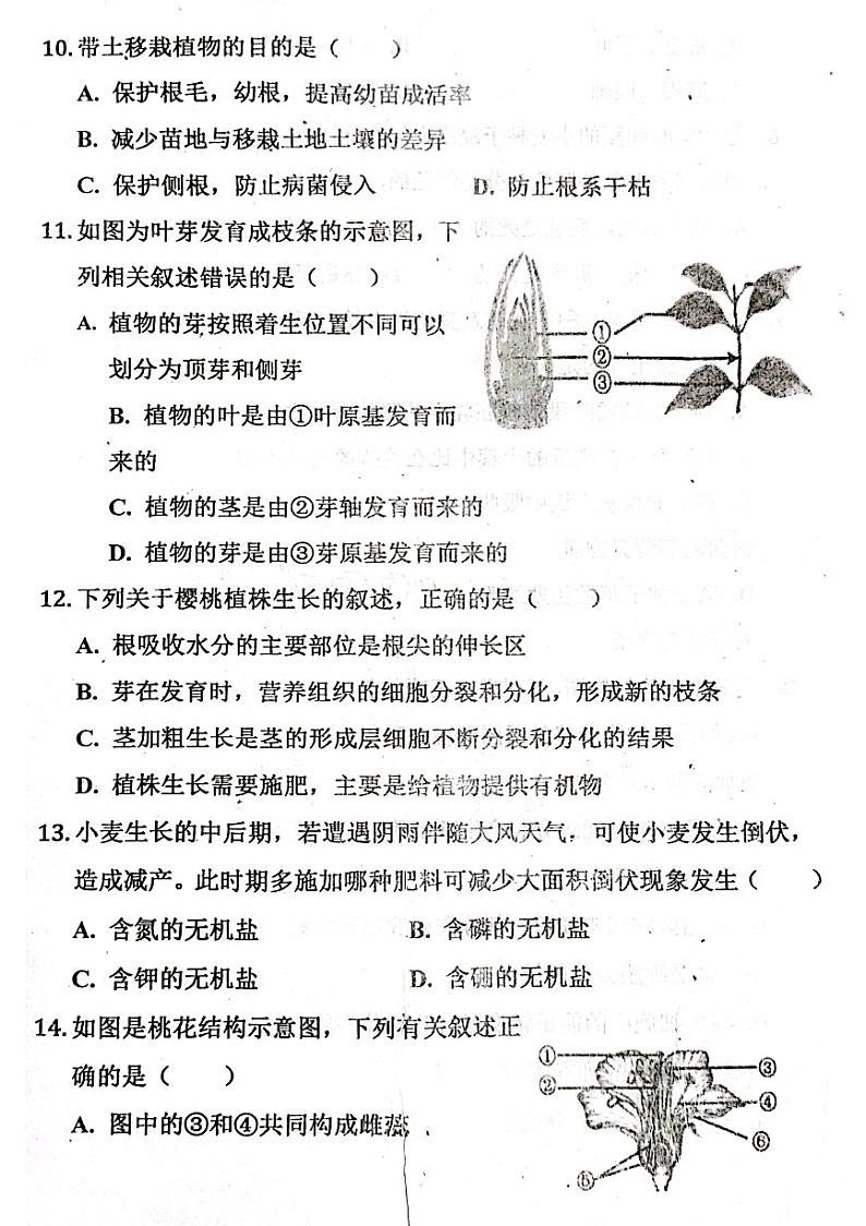 山东省聊城市阳谷县阳谷实验中学2023-2024学年七年级上学期12月月考生物试题第3页