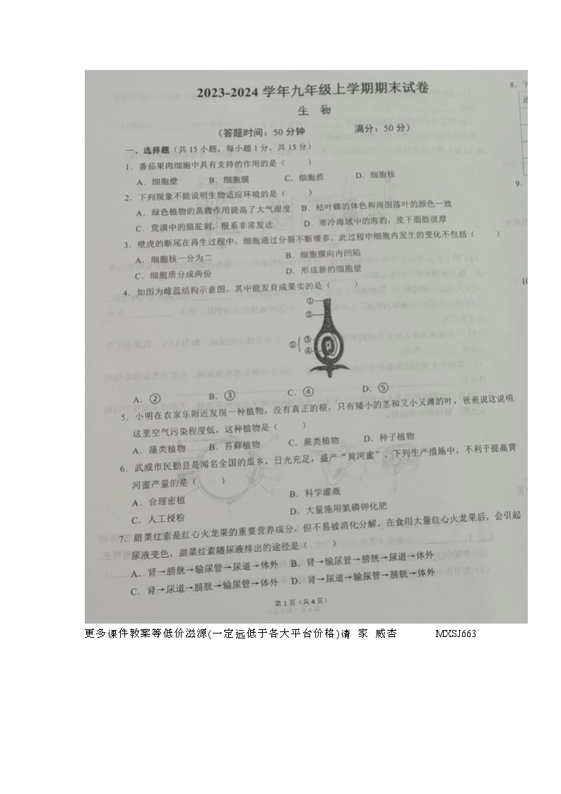 甘肃省天祝藏族自治县2023-2024学年九年级上学期期末考试生物试题01