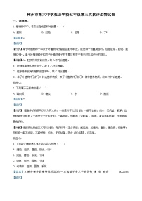 湖南省郴州市第六中学观山学校2023-2024学年七年级上学期第三次月考生物试题