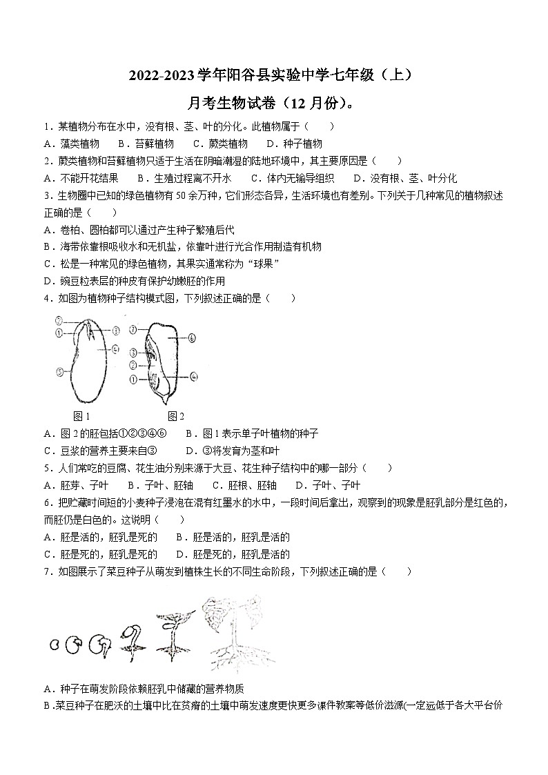 山东省聊城市阳谷县阳谷实验中学2023-2024学年七年级上学期12月月考生物试题(无答案)第1页