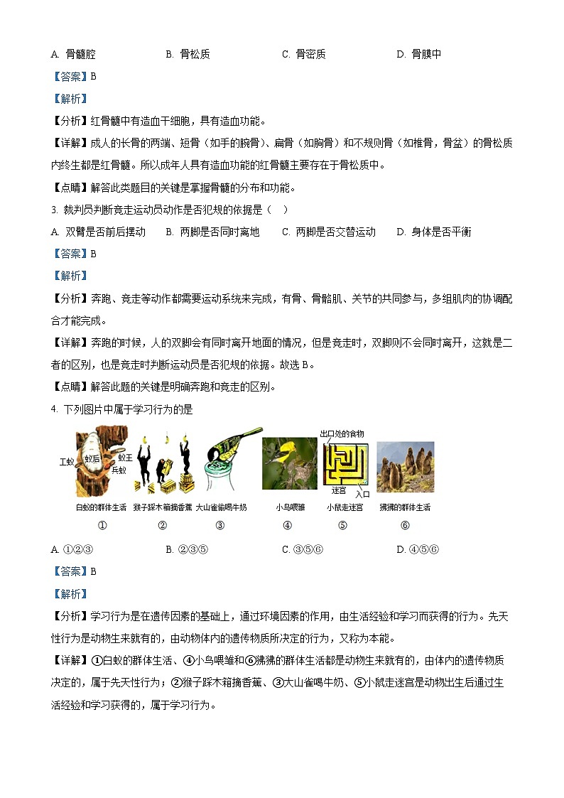 河南省安阳市内黄县实验中学2023-2024学年八年级上学期期中考试生物试卷(解析版)第2页