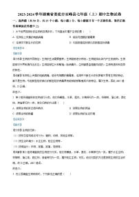 湖南省娄底市双峰县2023-2024学年七年级上学期期中生物试卷（解析版）