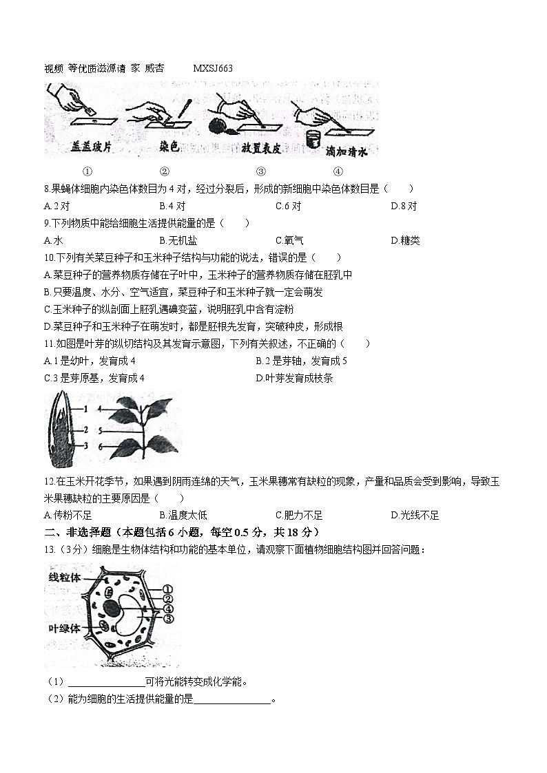 辽宁省大连市瓦房店市第三初级中学2023-2024学年七年级上学期12月月考生物试题(无答案)第2页