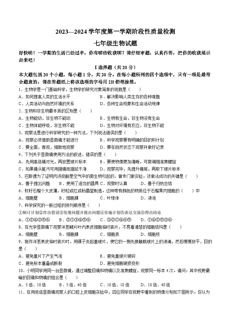 山东省菏泽市鄄城县2023-2024学年七年级上学期期中生物试题01