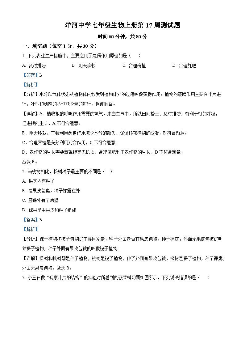 山东省青岛市胶州市洋河中学2023-2024学年七年级上学期第二次月考生物试题(解析版)第1页