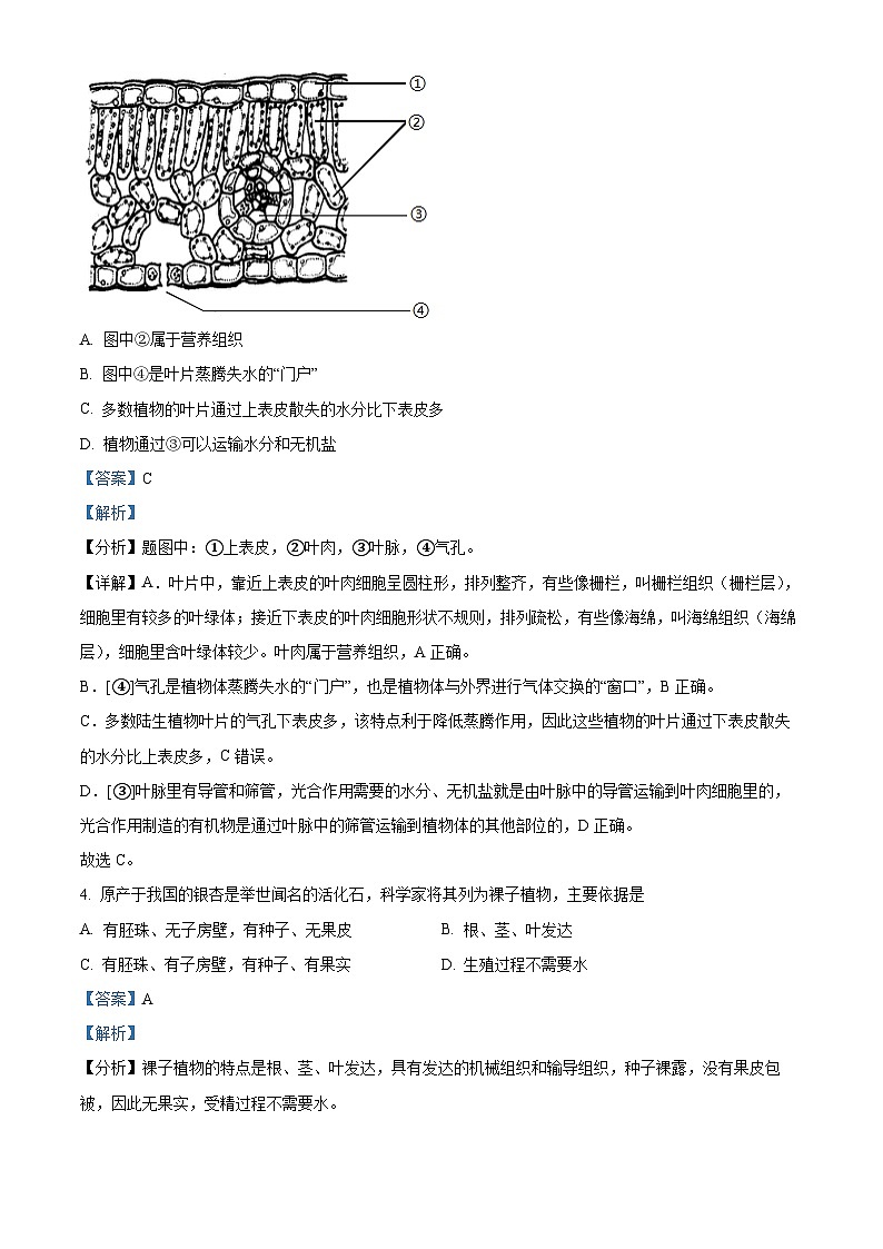 山东省青岛市胶州市洋河中学2023-2024学年七年级上学期第二次月考生物试题(解析版)第2页