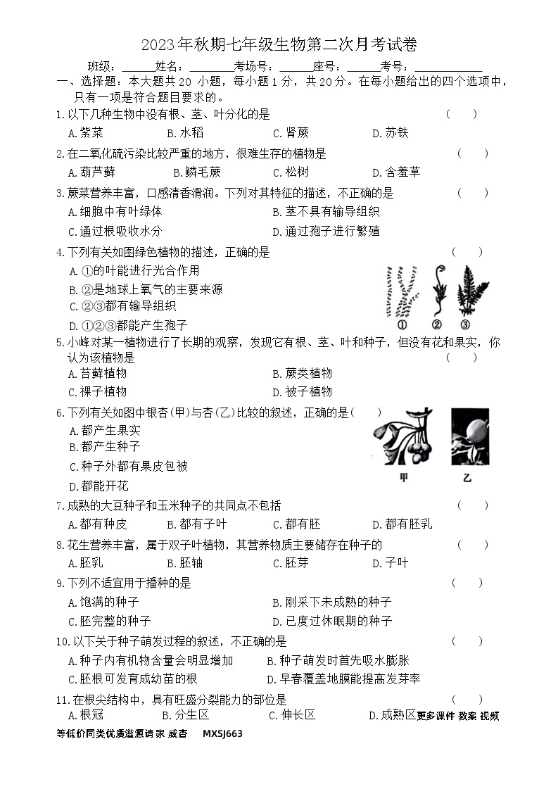 河南省南阳市2023--2024学年七年级上学期第二次生物月考试卷01