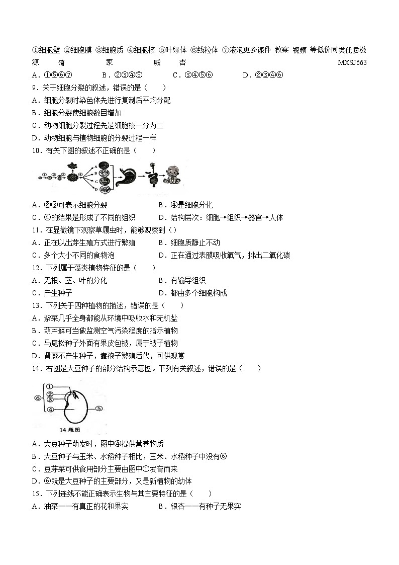 河南省周口市郸城县2023-2024学年七年级上学期12月月考生物试题第2页