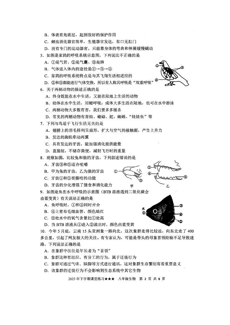 湖南省娄底市涟源市2023-2024学年八年级上学期12月月考生物试题第2页