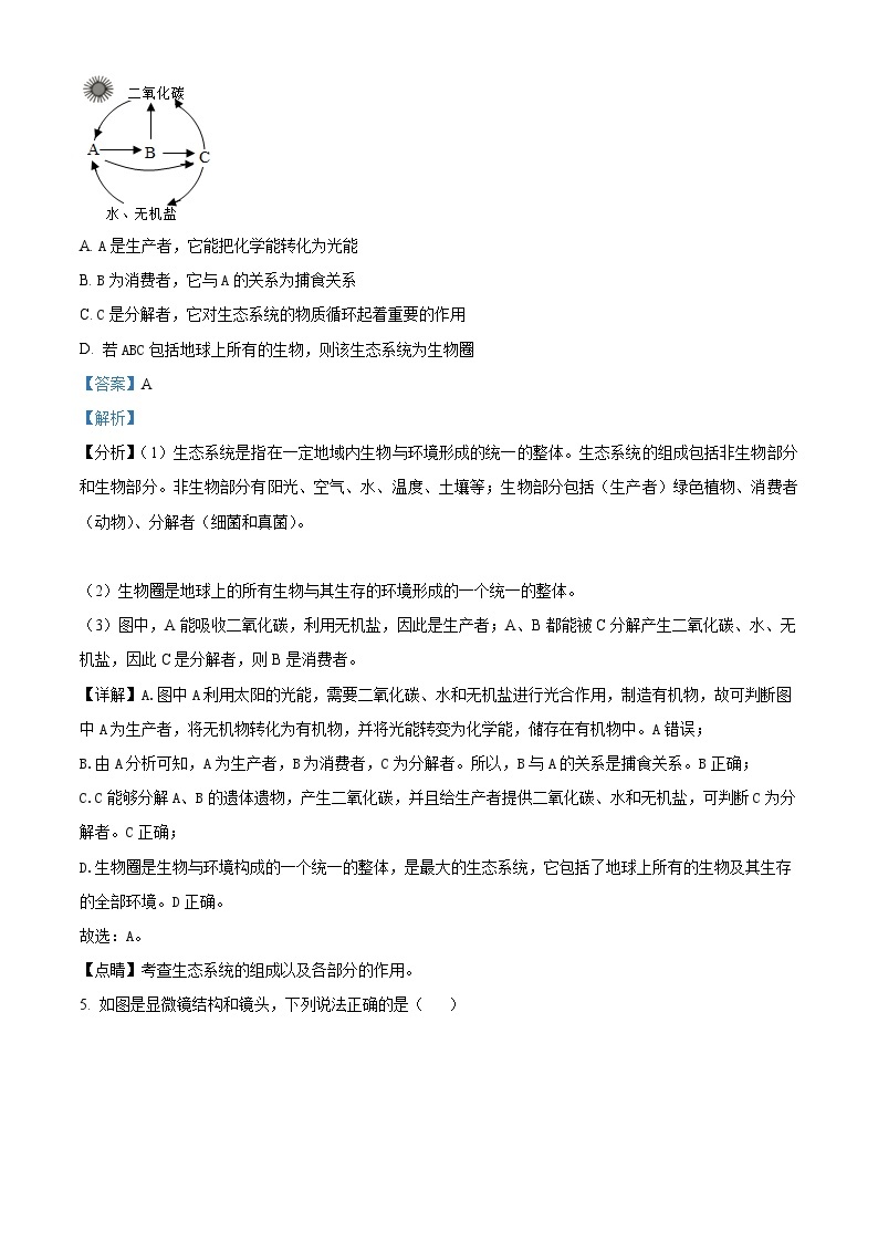 山东省临沂市郯城县2023-2024学年七年级上学期期中生物试题03