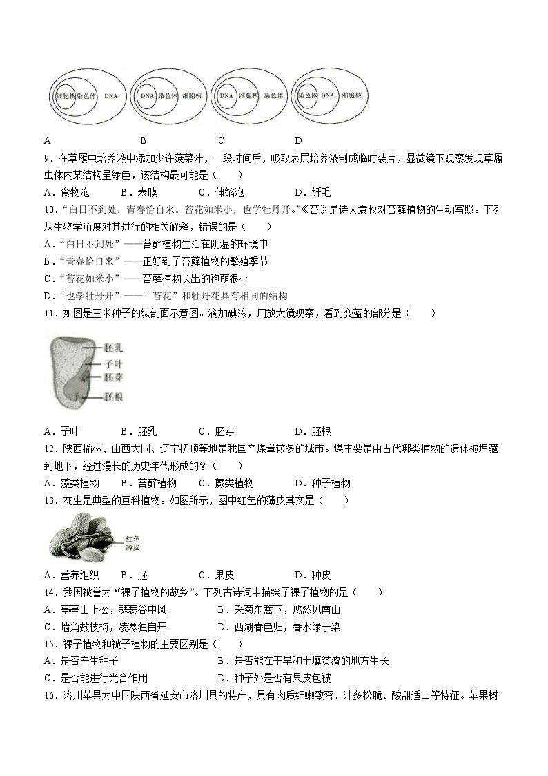 陕西省榆林市第十中学2023-2024学年七年级上学期12月月考生物试题(无答案)02