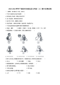 2023-2024学年广西钦州市浦北县七年级（上）期中生物试卷（含解析）