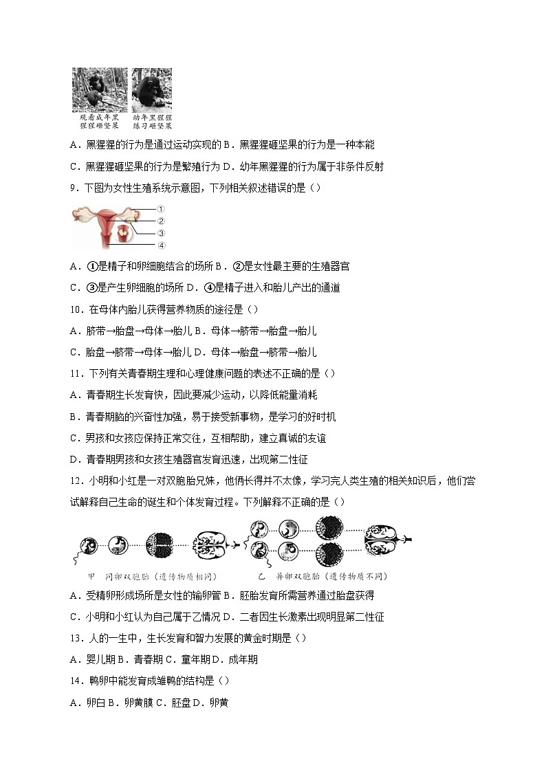 2023-2024学年北京市昌平区八年级上学期期中生物质量检测模拟试题(含答案)02