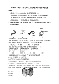 2023-2024学年广东省化州市八年级上学期期中生物模拟试题(含答案)