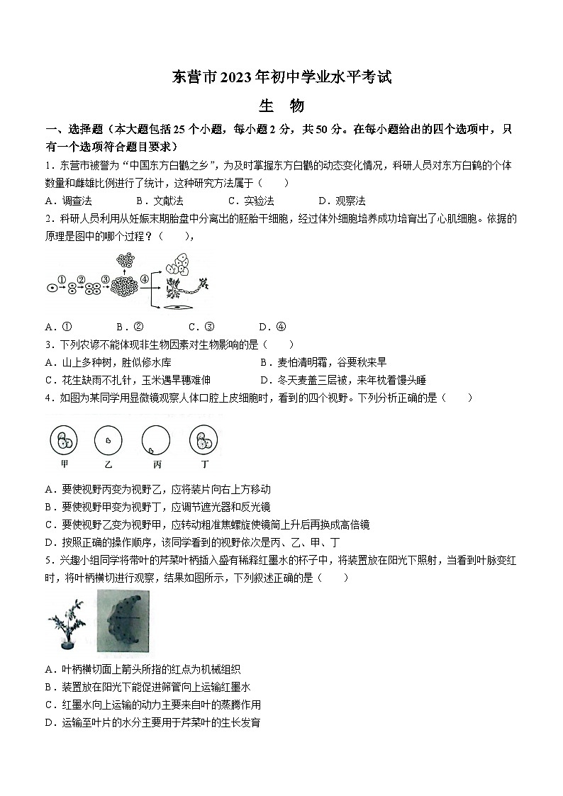 2023年山东省东营市生物中考真题(含答案)01