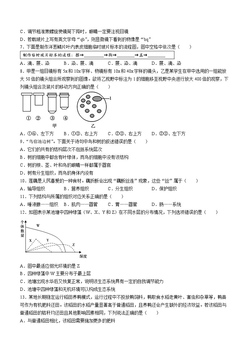 河南省许昌市长葛市2023-2024学年七年级上学期期中生物试题第2页