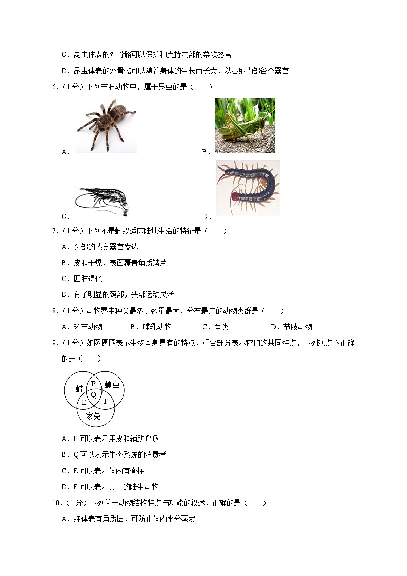 江西省赣州市崇义县2023-2024学年八年级上学期期中生物模拟试卷(含答案)第2页
