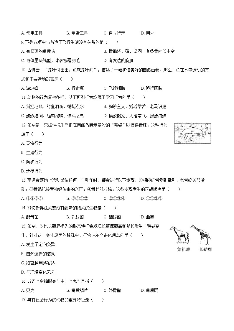 2022-2023学年安徽省滁州市南谯区八年级(上)期末生物试卷(含详细答案解析)第2页