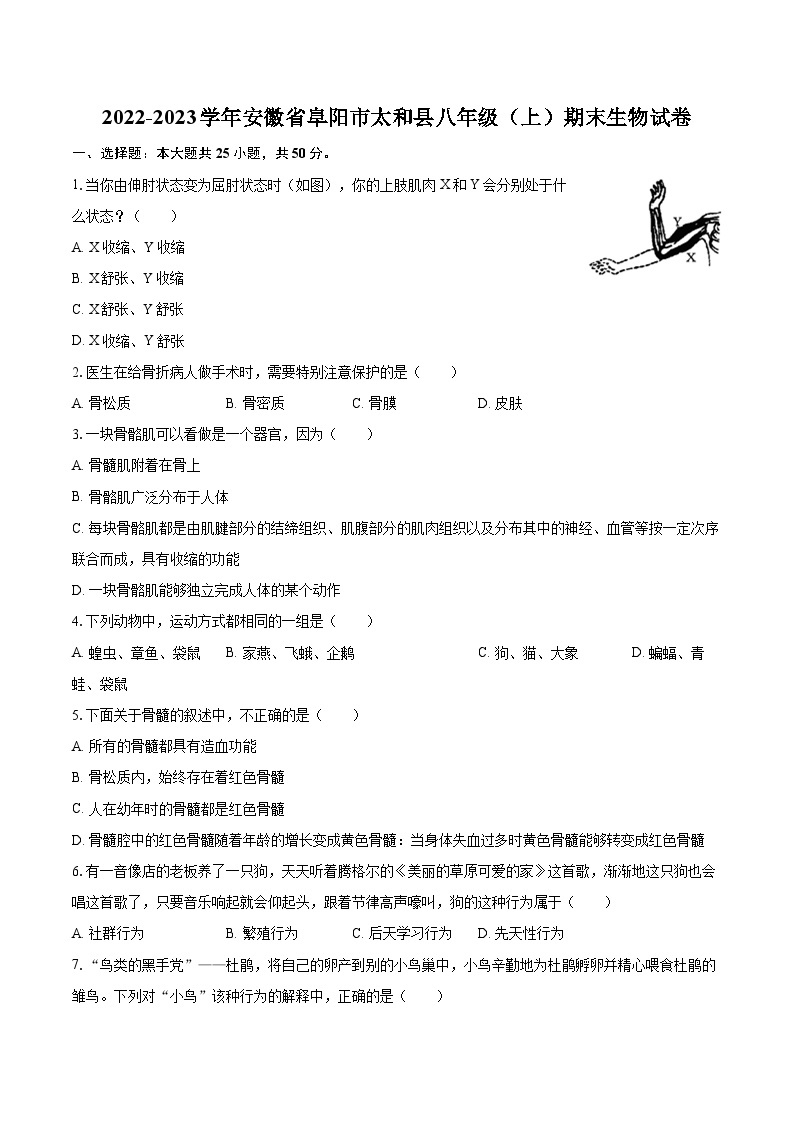 2022-2023学年安徽省阜阳市太和县八年级（上）期末生物试卷(含详细答案解析)01