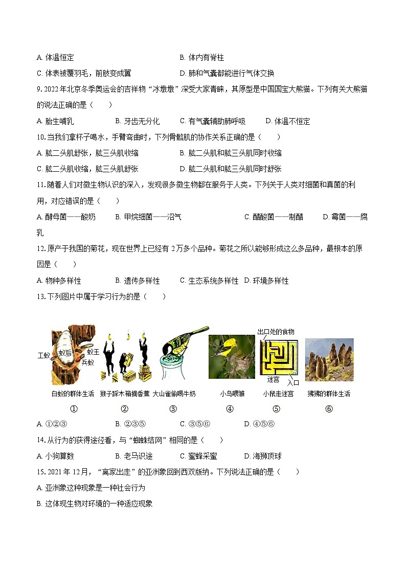 2022-2023学年福建省泉州市泉港区八年级(上)期末生物试卷(含详细答案解析)第2页