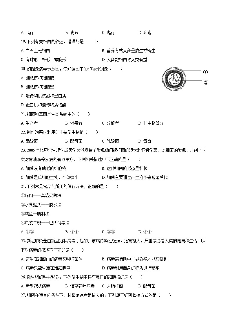 2022-2023学年河北省保定市曲阳县八年级（上）期末生物试卷（含详细答案解析）03