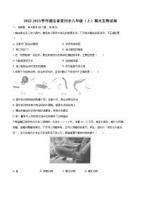 2022-2023学年湖北省黄冈市八年级（上）期末生物试卷(含详细答案解析)