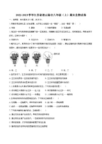 2022-2023学年江苏省连云港市八年级（上）期末生物试卷（含详细答案解析）