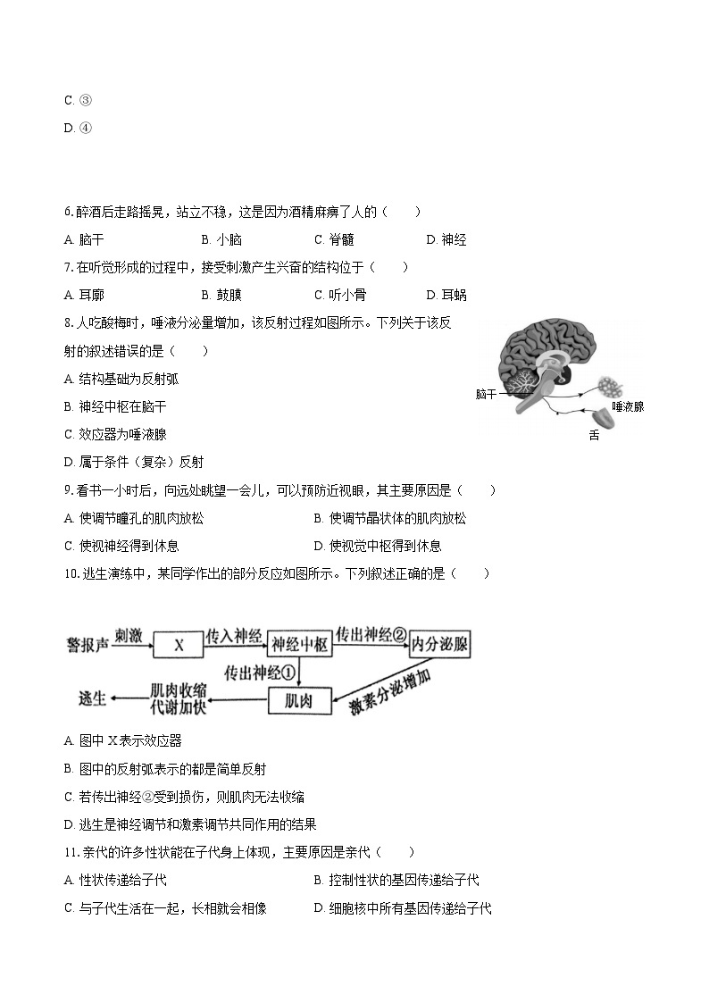 2022-2023学年江苏省泰州市兴化市八年级（上）期末生物试卷（含详细答案解析）02