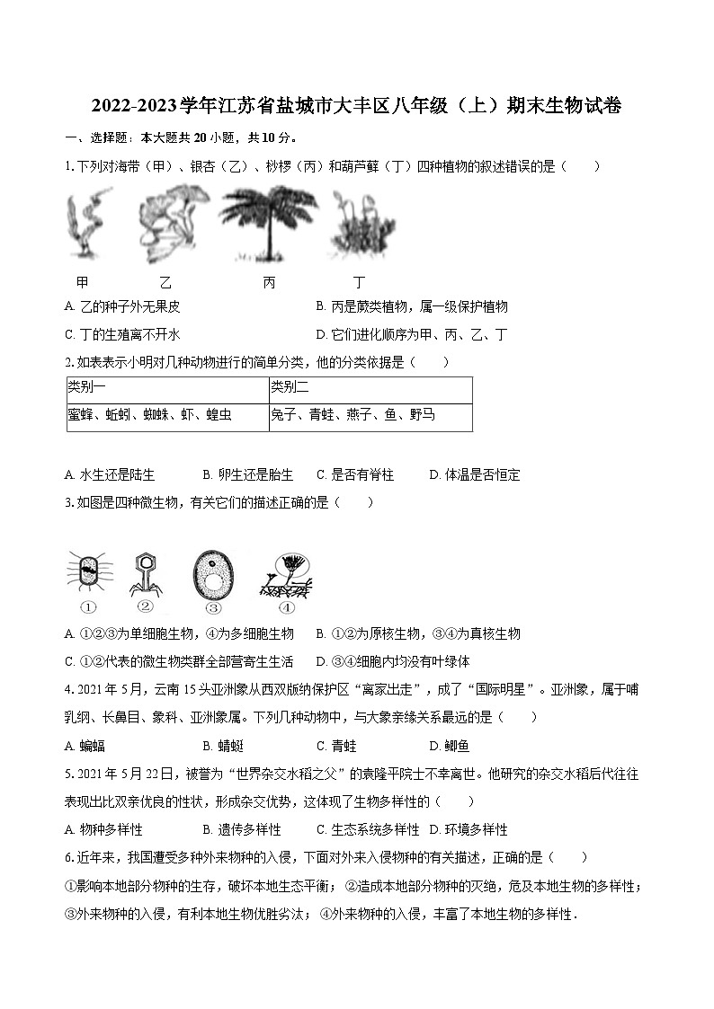 2022-2023学年江苏省盐城市大丰区八年级(上)期末生物试卷(含详细答案解析)第1页
