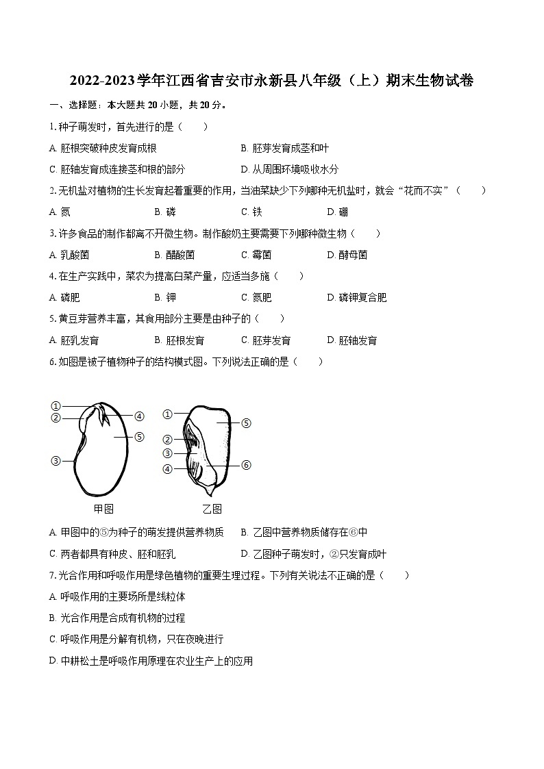 2022-2023学年江西省吉安市永新县八年级（上）期末生物试卷(含详细答案解析)01