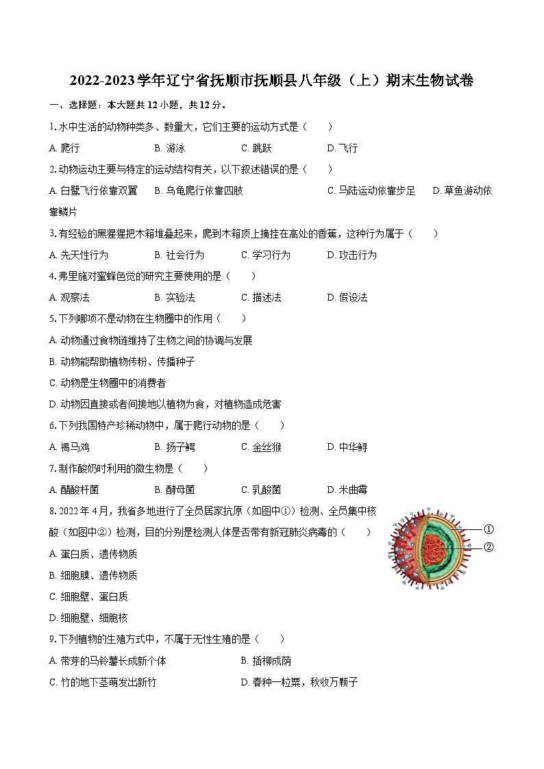 2022-2023學(xué)年遼寧省撫順市撫順縣八年級（上）期末生物試卷（含詳細(xì)答案解析）第1頁