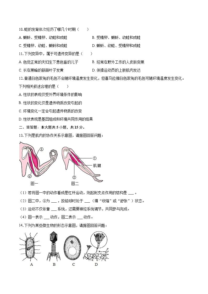 2022-2023學(xué)年遼寧省撫順市撫順縣八年級（上）期末生物試卷（含詳細(xì)答案解析）第2頁