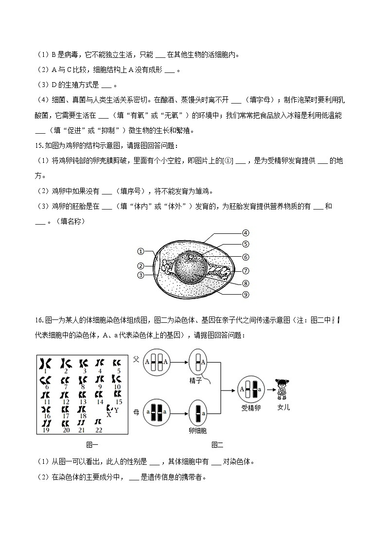 2022-2023學(xué)年遼寧省撫順市撫順縣八年級（上）期末生物試卷（含詳細(xì)答案解析）第3頁