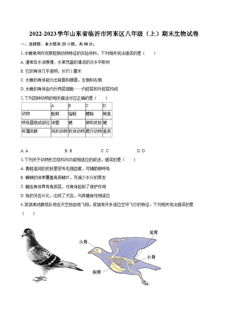 2022-2023学年山东省临沂市河东区八年级（上）期末生物试卷(含详细答案解析)01