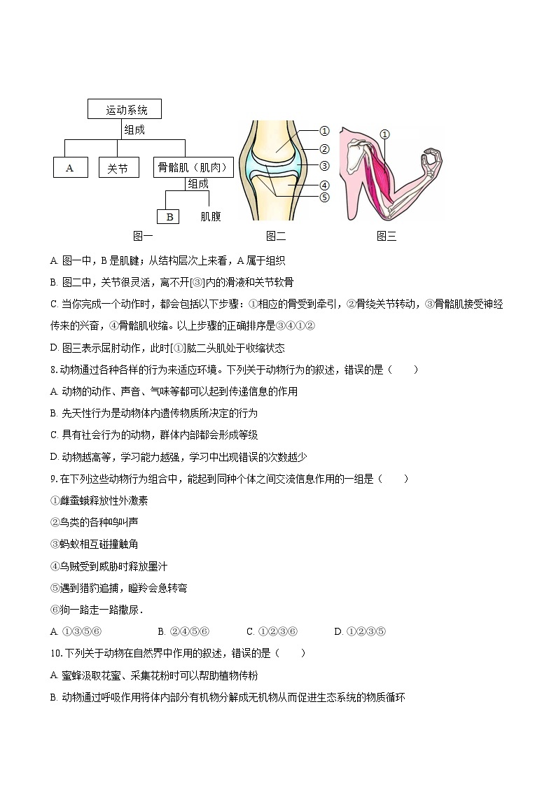 2022-2023学年山东省临沂市河东区八年级（上）期末生物试卷(含详细答案解析)03