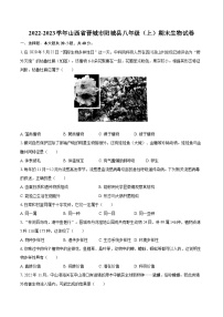 2022-2023学年山西省晋城市阳城县八年级（上）期末生物试卷（含详细答案解析）