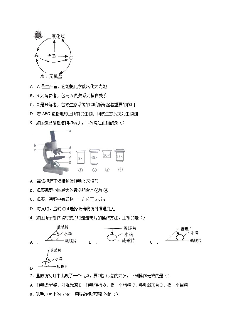 山东省临沂市郯城县2023-2024学年七年级上学期期中生物模拟试卷(含答案)02