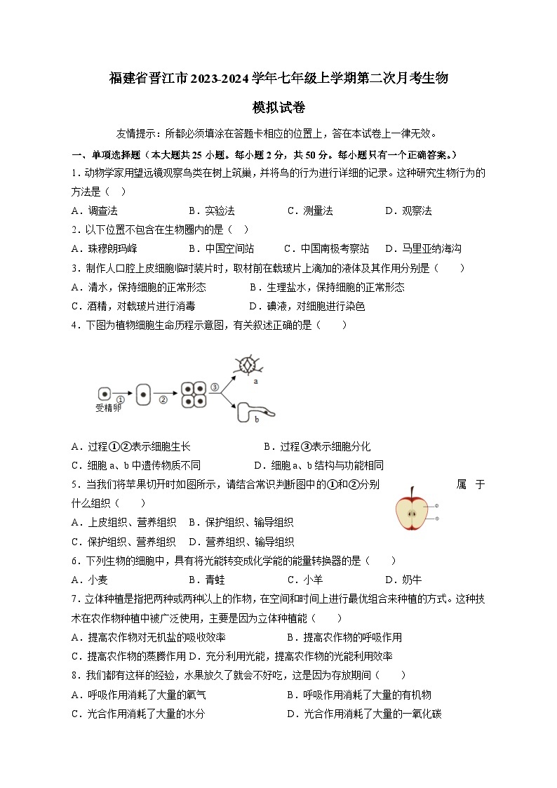 福建省晋江市2023-2024学年七年级上学期第二次月考生物模拟试卷（含答案）01
