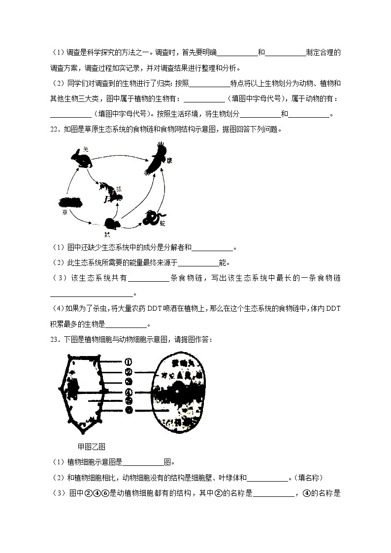 河南省商丘市夏邑县2023-2024学年七年级上学期期中生物模拟试题(含答案)第3页