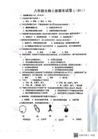 黑龙江省肇东市四站中学校2023-2024学年七年级上学期期末生物试题