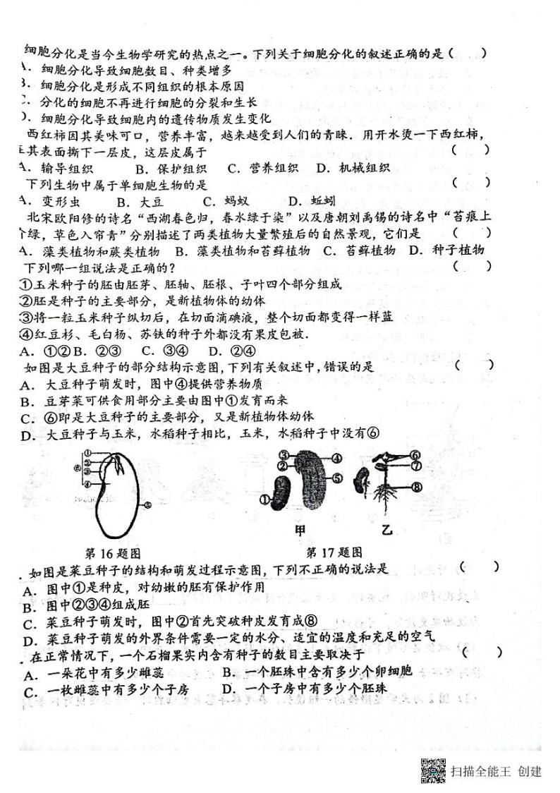 黑龙江省肇东市四站中学校2023-2024学年六年级上学期期末生物试题（无答案）02