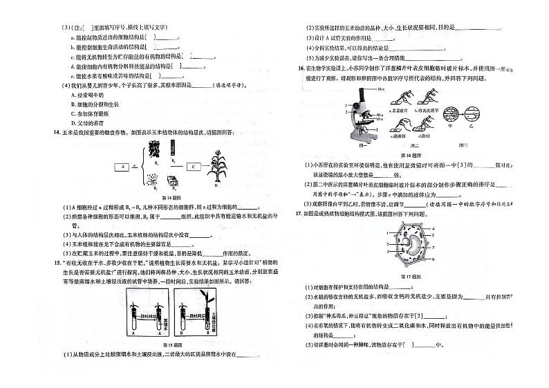 吉林省松原市宁江区2023-2024学年上学期七年级生物期末试题(图片版,含答案)02