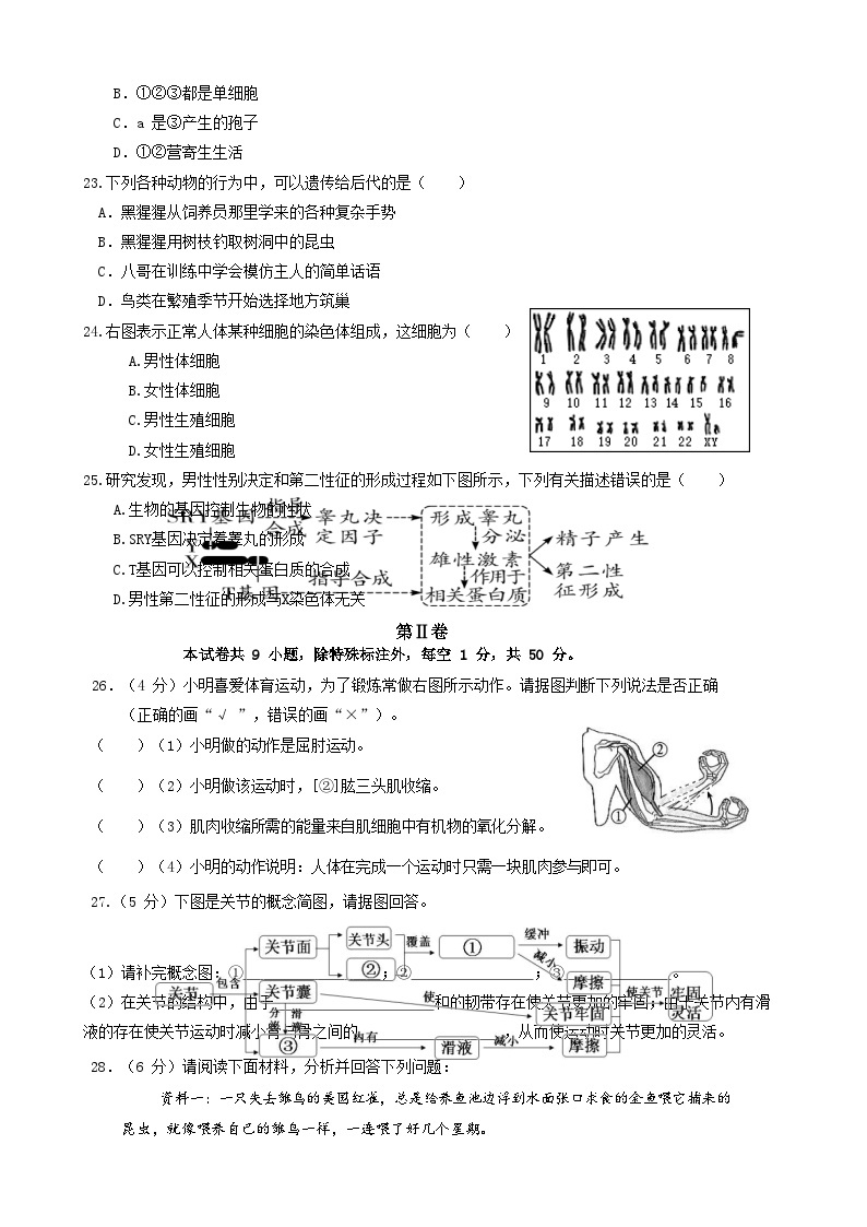 福建省南安市市区联盟2023-2024学年上学期12月份月考八年级生物试卷03