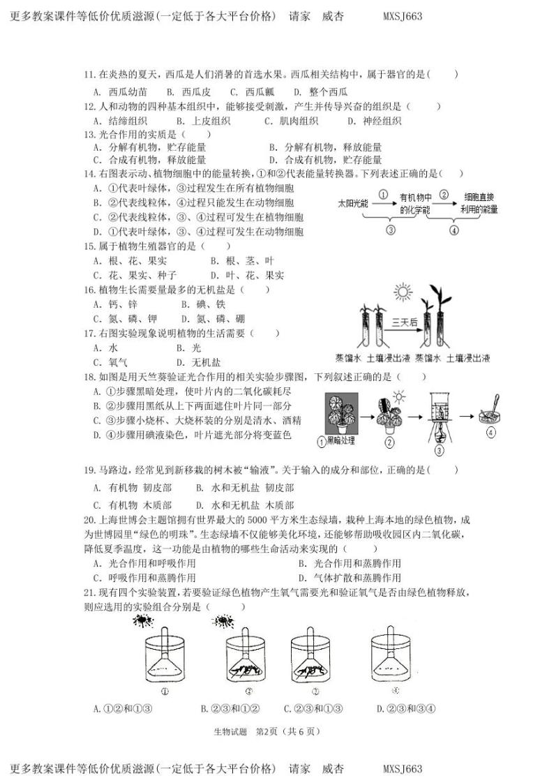 福建省南安市市区联盟校2023-2024学年七年级上学期12月月考生物试题02