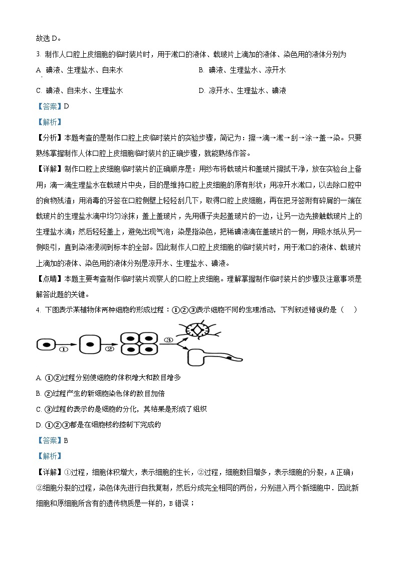 山东省乐陵市张桥中学2023-2024学年七年级上学期第二次月考生物试题02