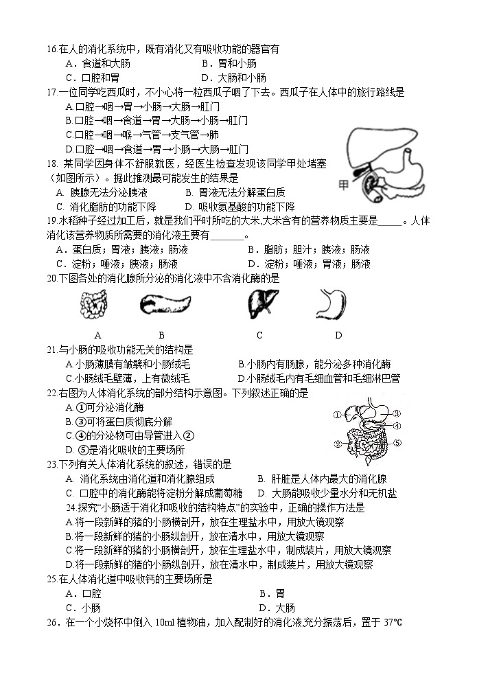 江苏省昆山市通海实验中学2023-2024学年七年级上学期12月单元练习生物试卷03