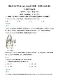 江苏省连云港市赣榆汇文双语学校2023-2024学年八年级上学期第三次月考生物试题