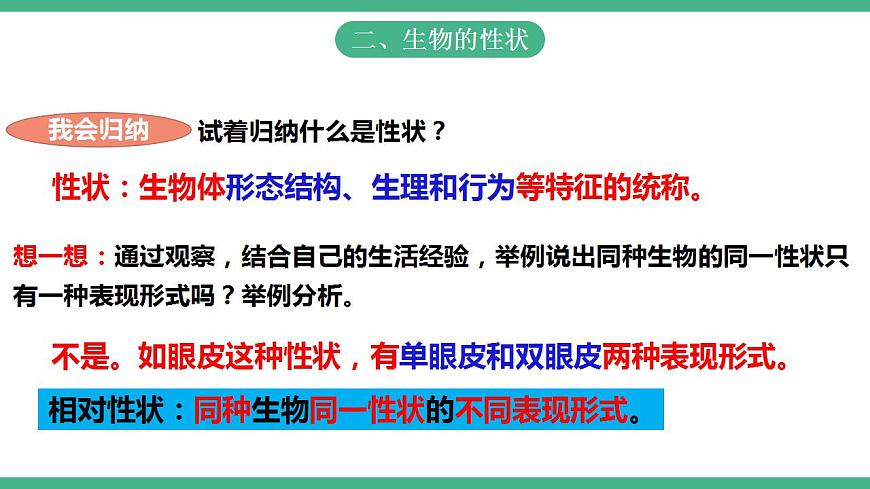 人教版生物八年級下冊 7.2.1《 基因控制生物的性狀》課件視頻第7頁