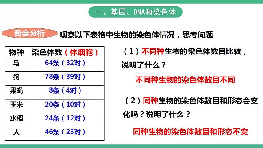 人教版生物八年級(jí)下冊(cè) 7.2.2《基因在親子代間的傳遞》課件視頻第6頁(yè)